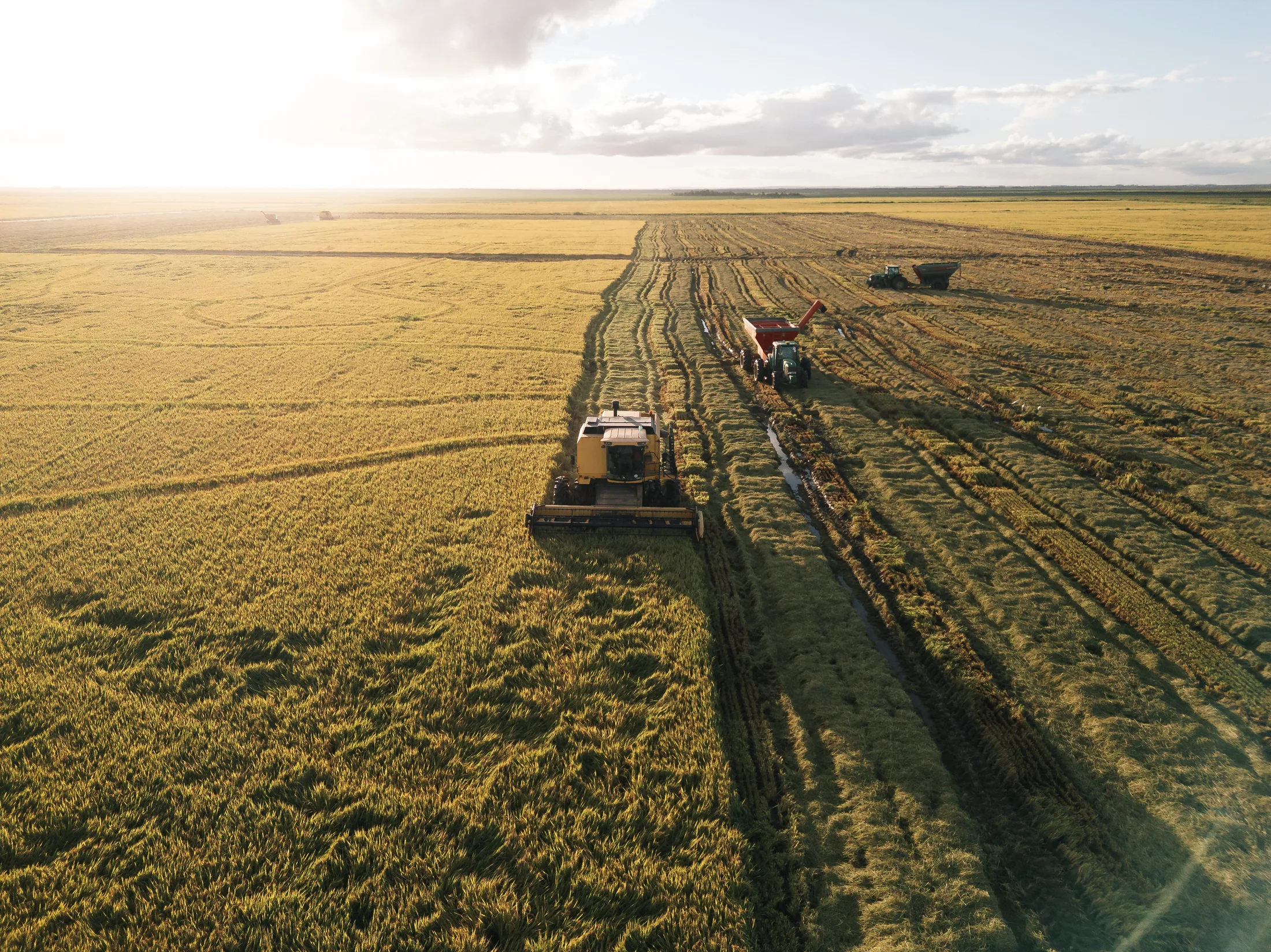 Vista aérea de maquinário agrícola em operação