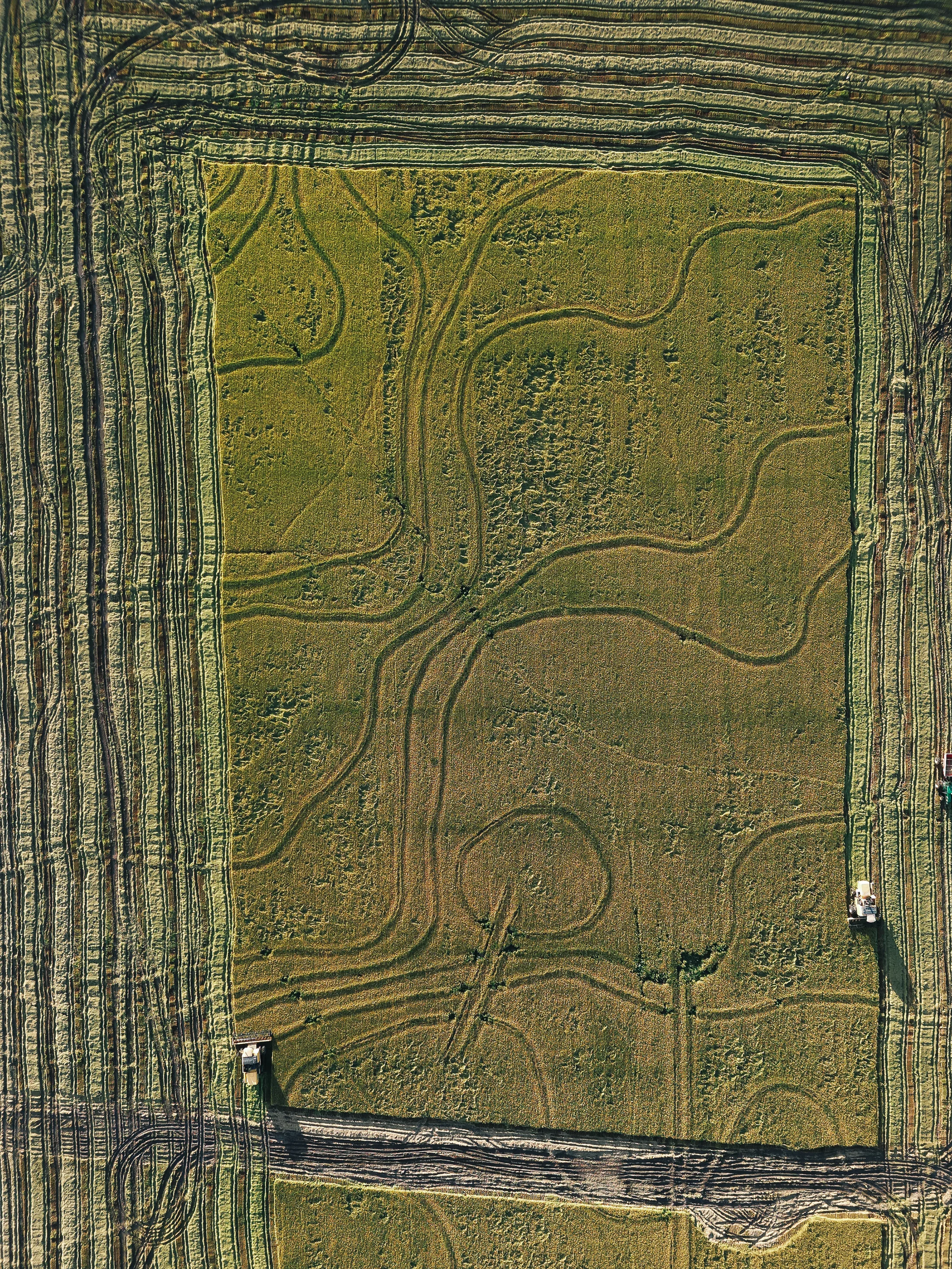 Maquinário agrícola em operação durante a colheita