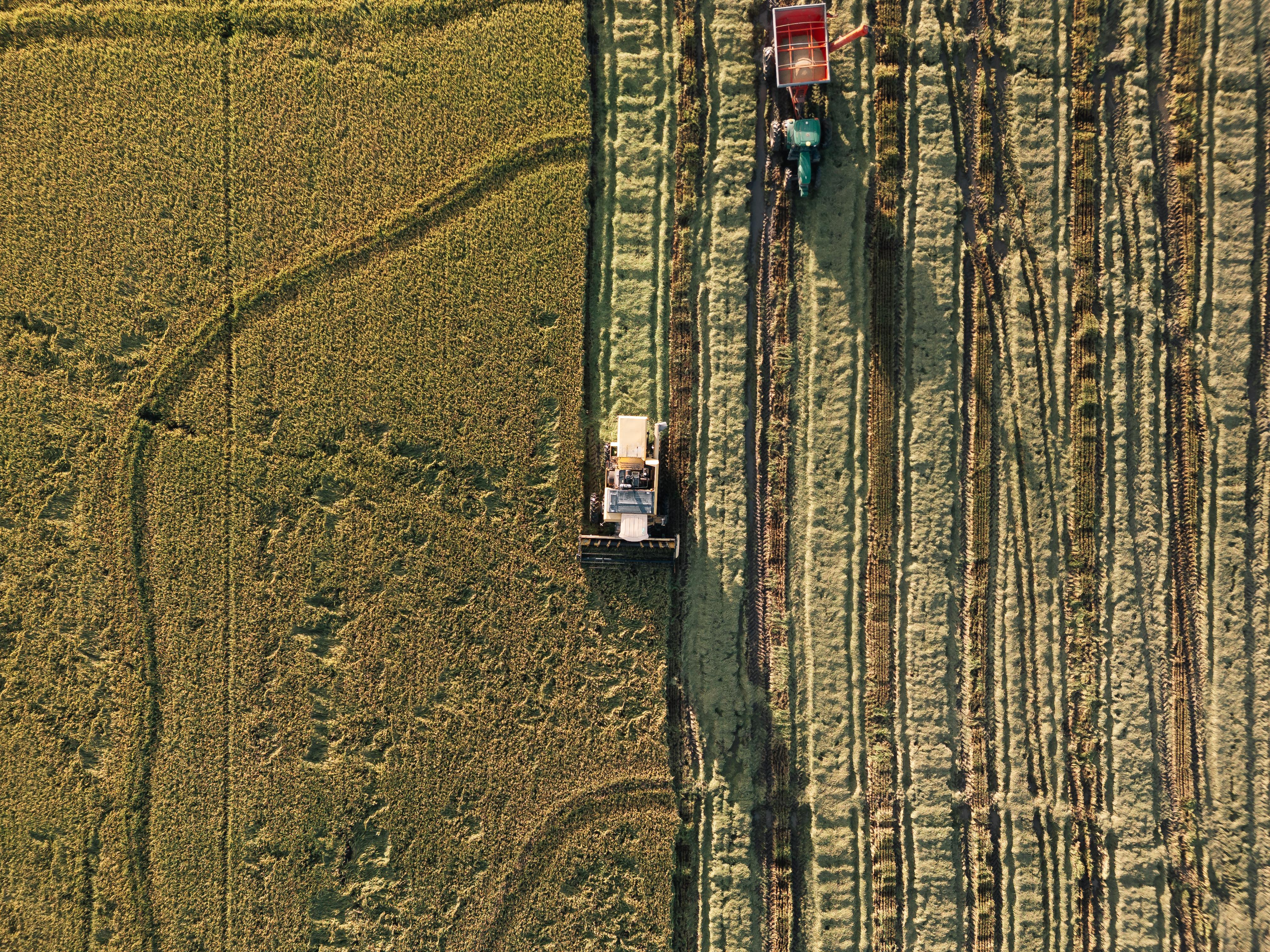 Vista aérea de área de cultivo